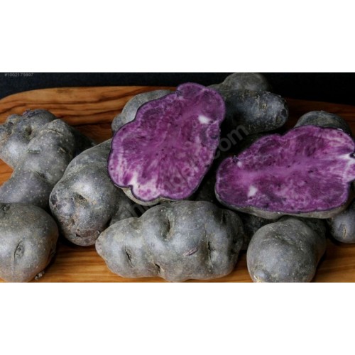 Patates ( Mor )  ( 1 kg )